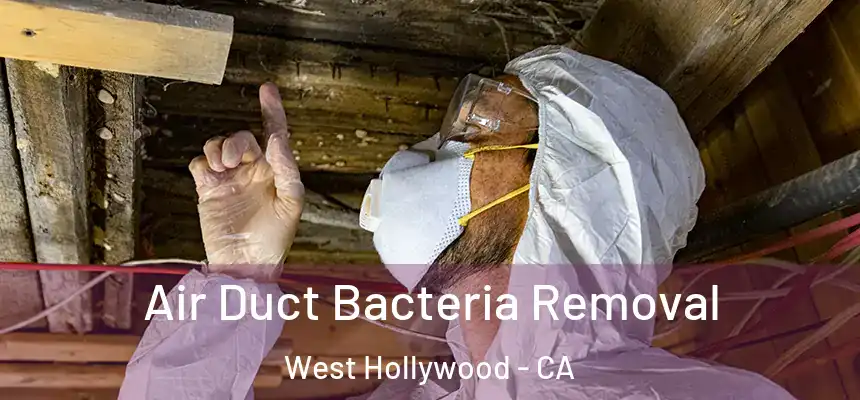  Air Duct Bacteria Removal West Hollywood - CA