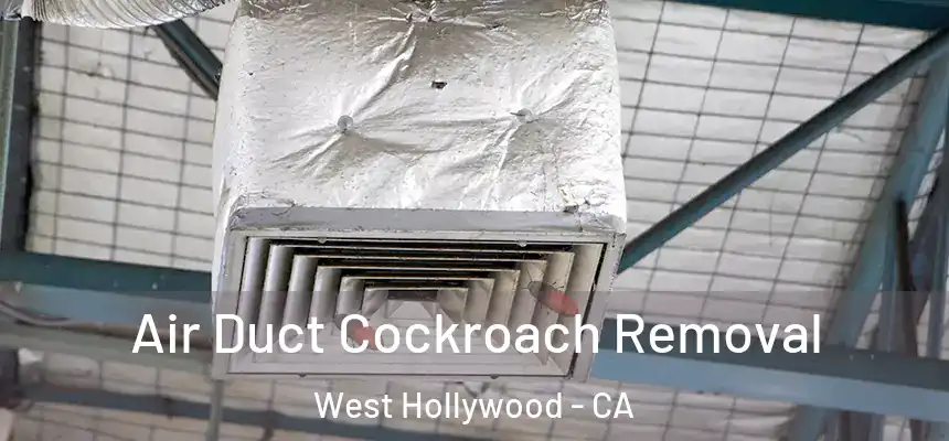 Air Duct Cockroach Removal West Hollywood - CA
