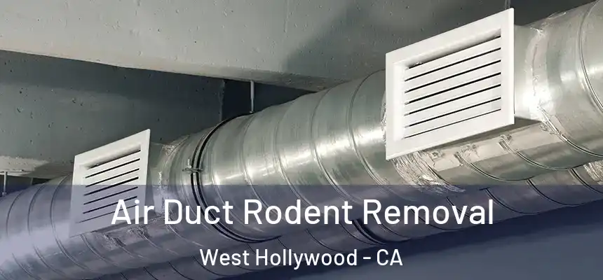  Air Duct Rodent Removal West Hollywood - CA
