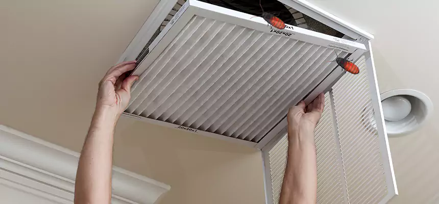 Preventive Cockroach-Proofing for Ducts in West Hollywood