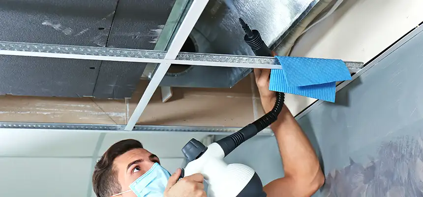 Our Air Duct Rodent Removal Services in West Hollywood, CA