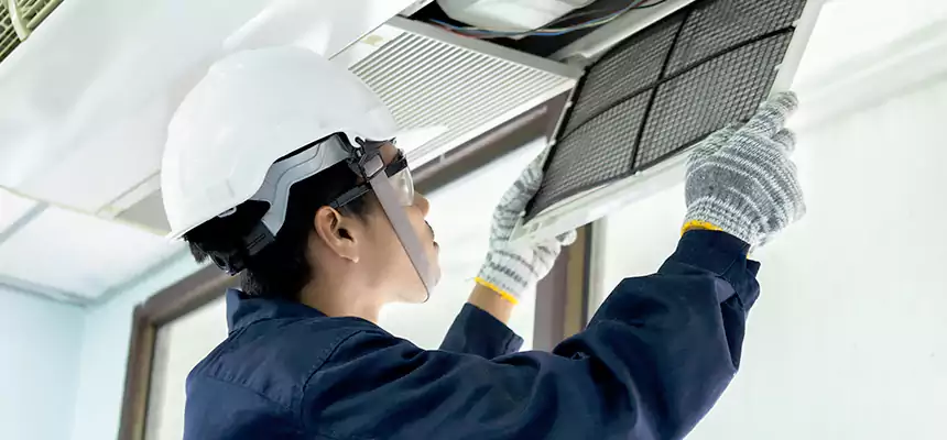 Our Mold & Mildew Removal from Air Ducts Services in West Hollywood, CA