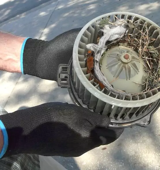 About Air Duct Mice Removal in West Hollywood, CA