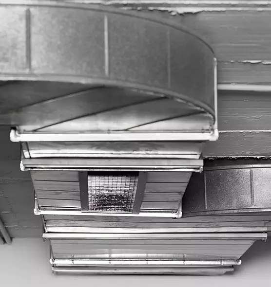 Professional Air Duct Pet Hair Removal in West Hollywood, CA