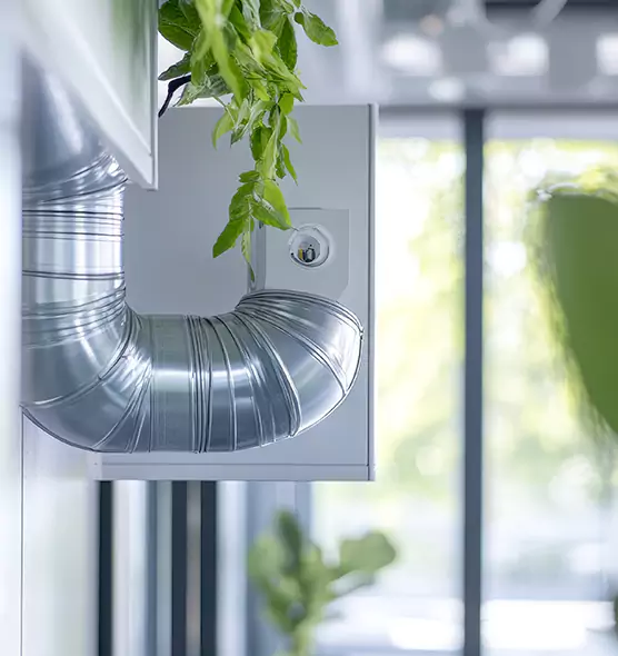 Professional Eco-Safe Dryer Vent Cleaning in West Hollywood, CA