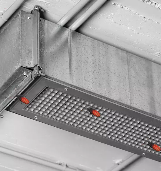Affordable Insect Removal from Air Ducts in West Hollywood, CA