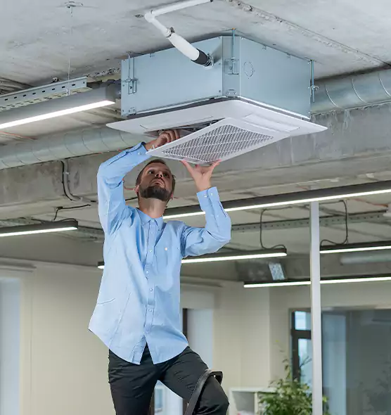 Advanced Rodent Droppings In Vents in West Hollywood, CA