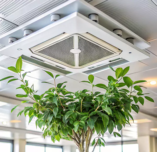 Why Homeowners & Businesses Trust Us in West Hollywood, CA?