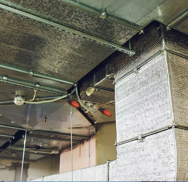 Why Homeowners & Businesses Trust Us West Hollywood, CA?